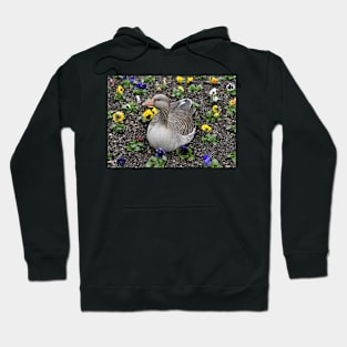 Duck in the flowerbed Hoodie